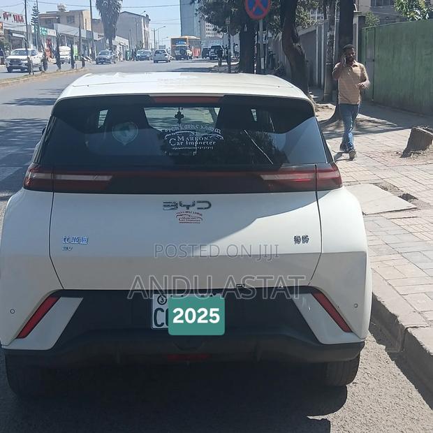 BYD Seagull 2024 White