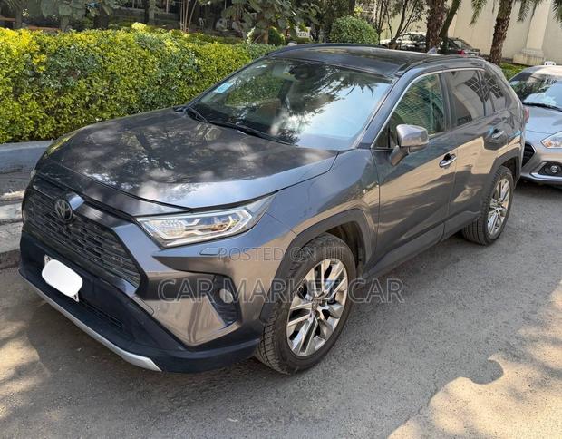 Toyota RAV4 LE AWD 2019 Gray