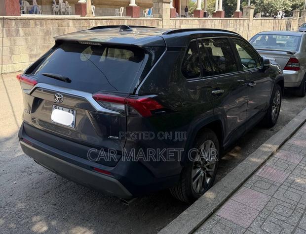 Toyota RAV4 LE AWD 2019 Gray