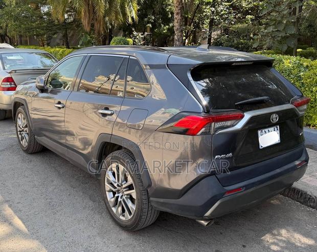 Toyota RAV4 LE AWD 2019 Gray