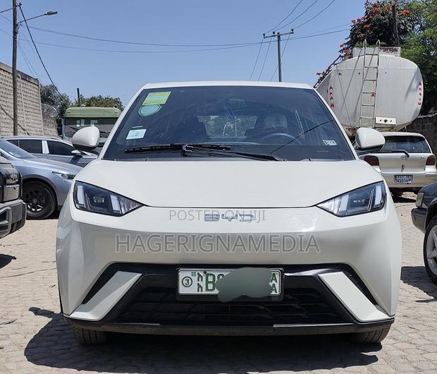 BYD Seagull 2024 White