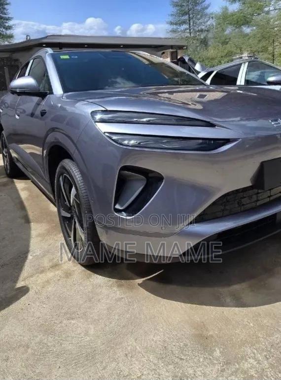 New BYD Sealion 06 EV 2025 Gray