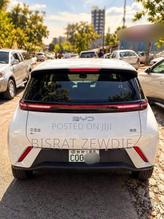 BYD Seagull 2025 White