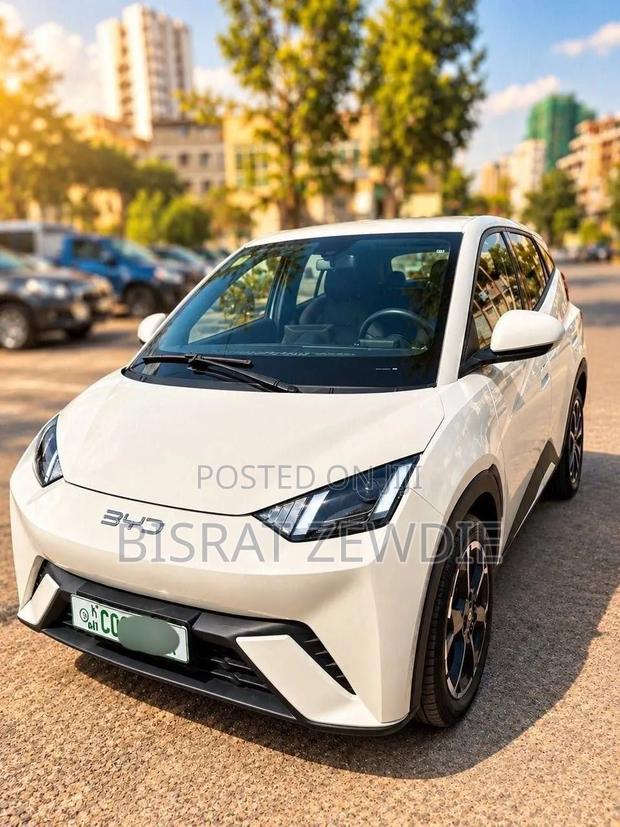 BYD Seagull 2025 White