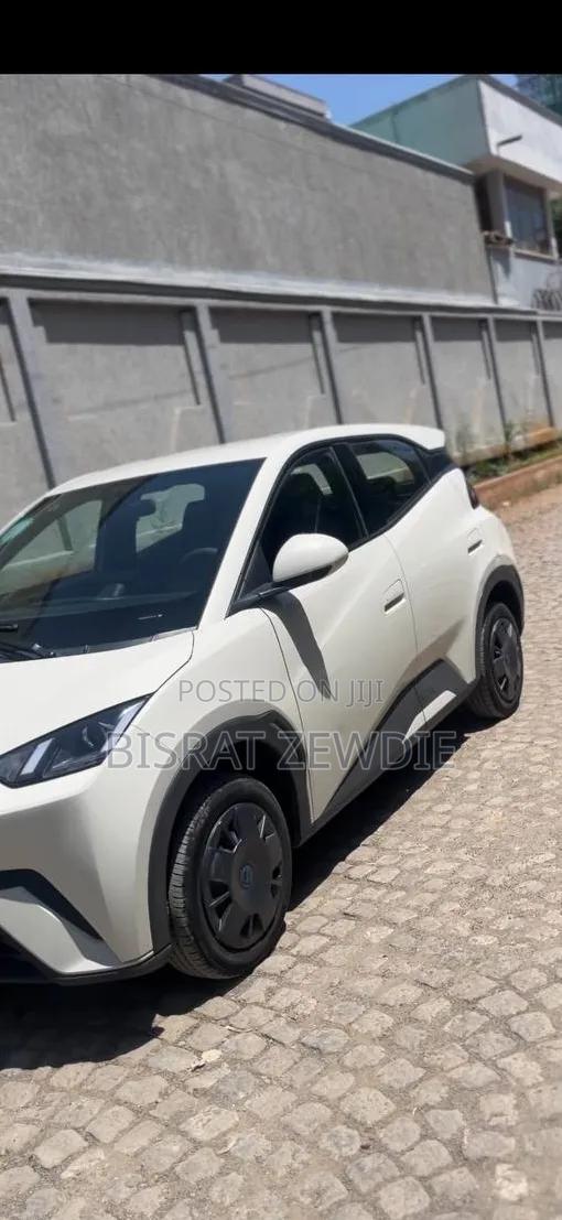 BYD Seagull 2024 White