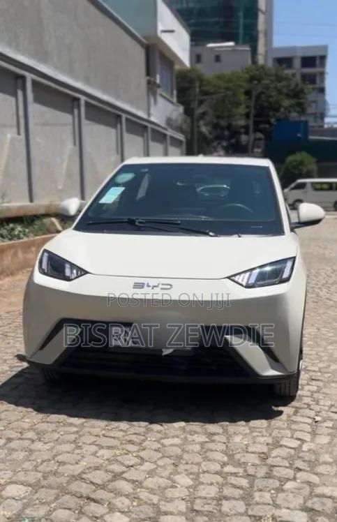 BYD Seagull 2024 White