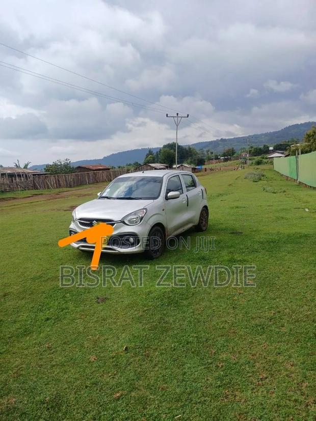 Suzuki Celerio 2022 White