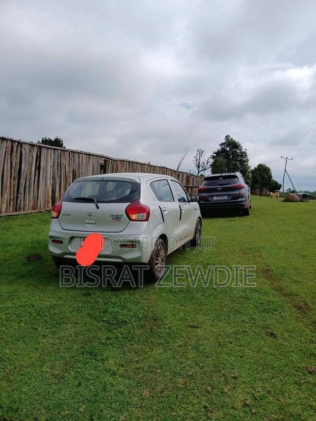 Suzuki Celerio 2022 White