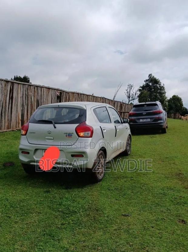 Suzuki Celerio 2022 White