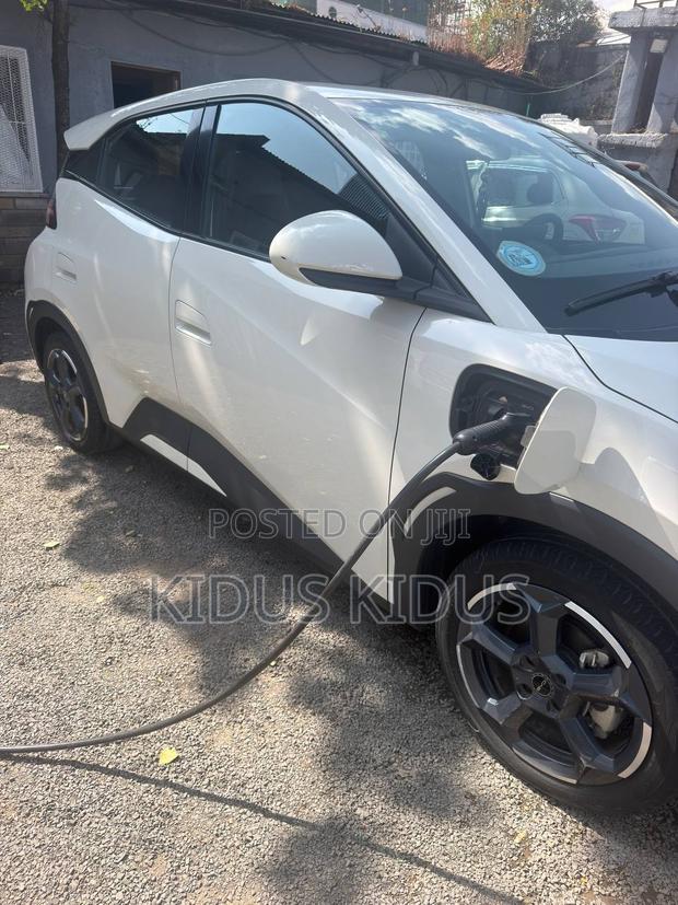 BYD Seagull 2024 White