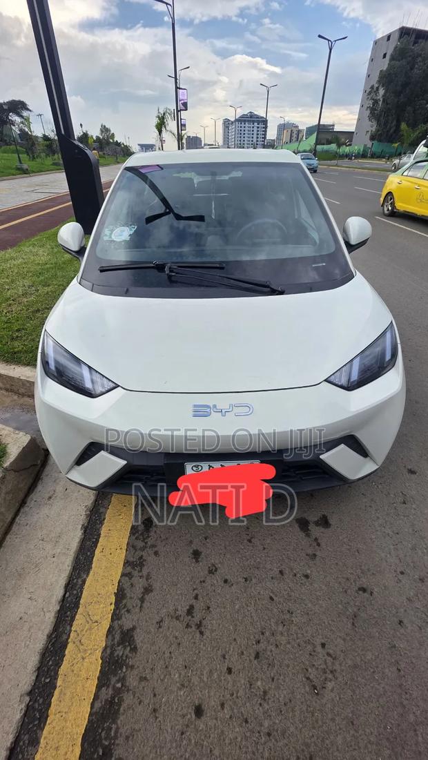 BYD Seagull 38 kWh FWD 2024 White