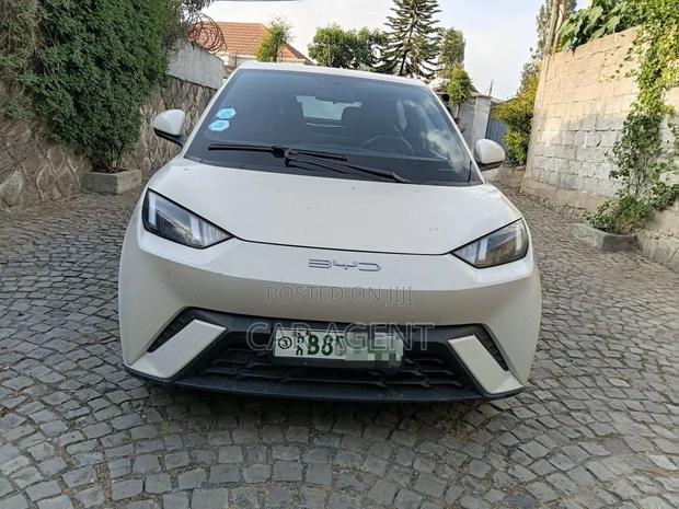 BYD Seagull 2025 White