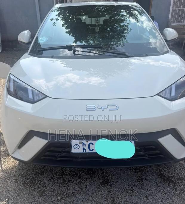 BYD Seagull 2024 White