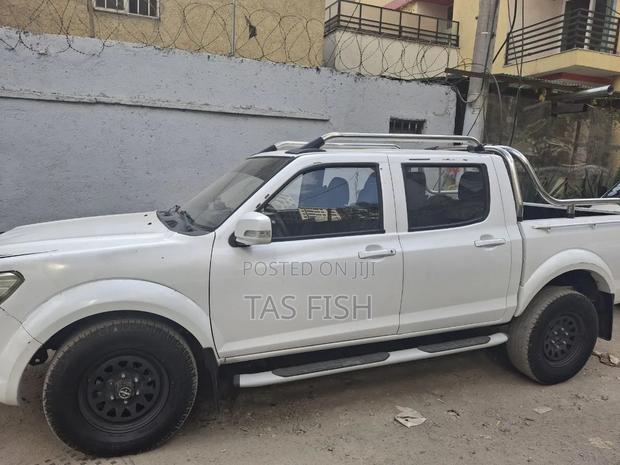 Dongfeng Rich 2019 White