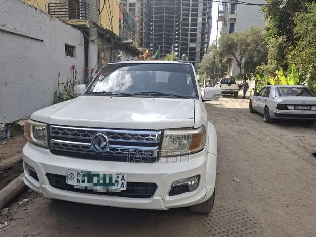 Dongfeng Rich 2019 White
