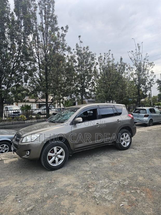 Toyota RAV4 2010 Brown