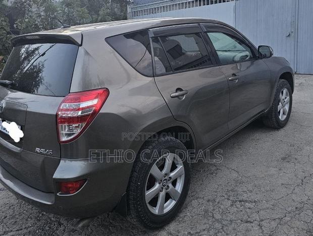 Toyota RAV4 2010 Brown