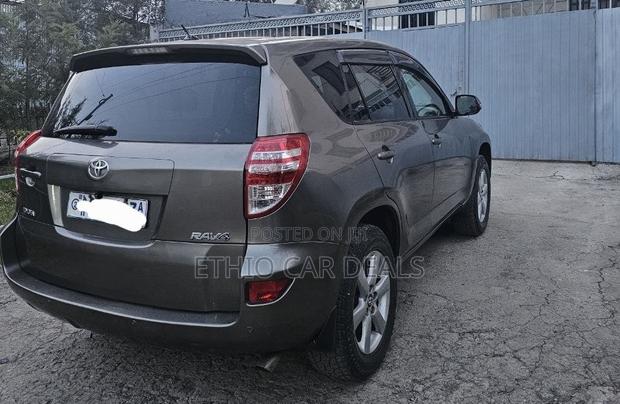 Toyota RAV4 2010 Brown