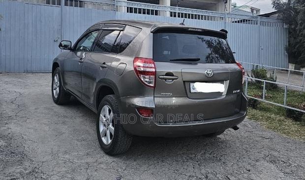 Toyota RAV4 2010 Brown