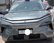 BYD Tang DM-i 2025 Green for sale