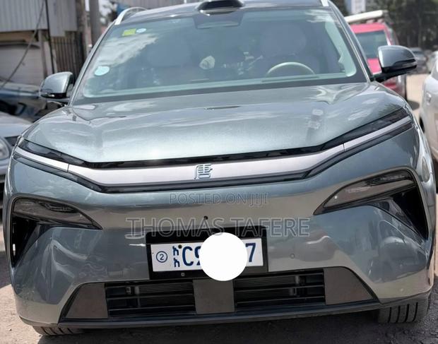 BYD Tang DM-i 2025 Green