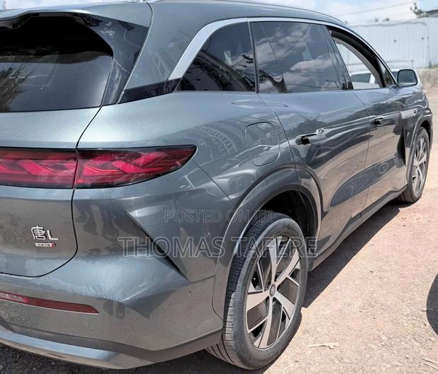 BYD Tang DM-i 2025 Green