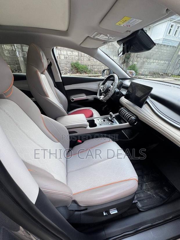 BYD Yuan Plus 2025 Gray