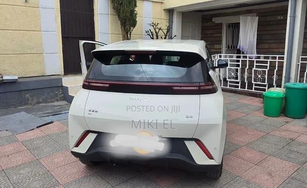 BYD Seagull 38 kWh FWD 2024 White