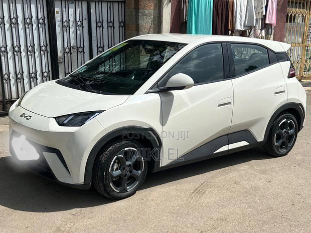 BYD Seagull 38 kWh FWD 2024 White