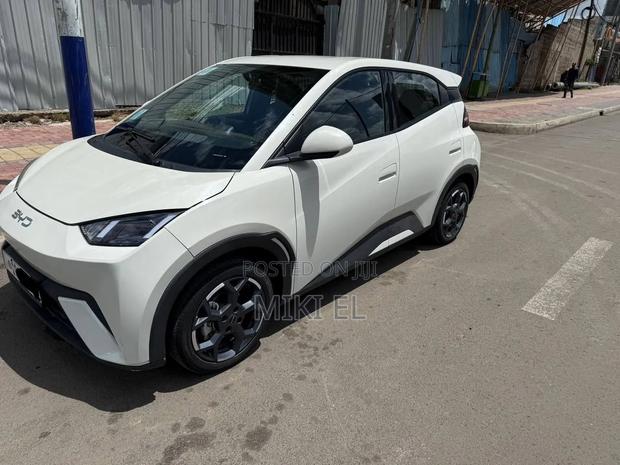 BYD Seagull 38 kWh FWD 2024 White