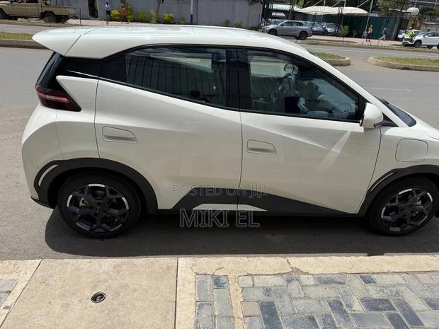 BYD Seagull 38 kWh FWD 2024 White
