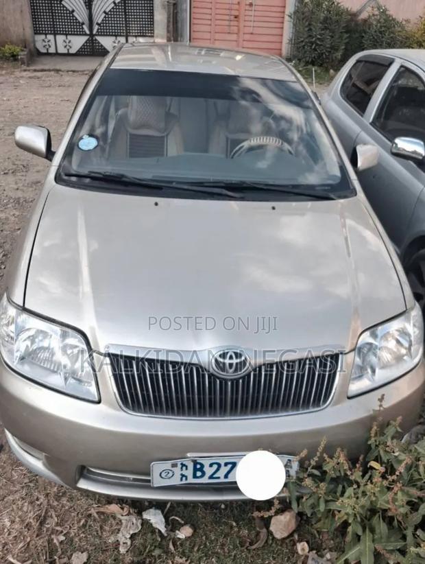 Toyota Corolla 2006 Gray