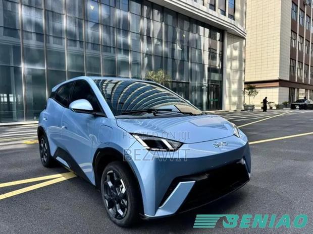 New BYD Seagull 2025 Blue
