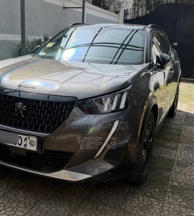 Peugeot 2008 2023 Gray