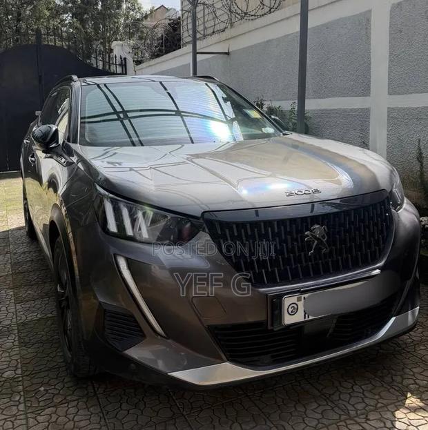 Peugeot 2008 2023 Gray