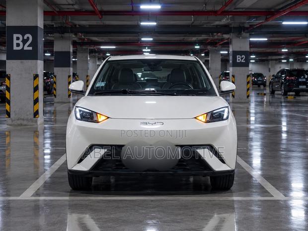BYD Seagull 38 kWh FWD 2024 White