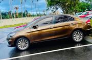 Suzuki Ciaz 2022 Brown for sale