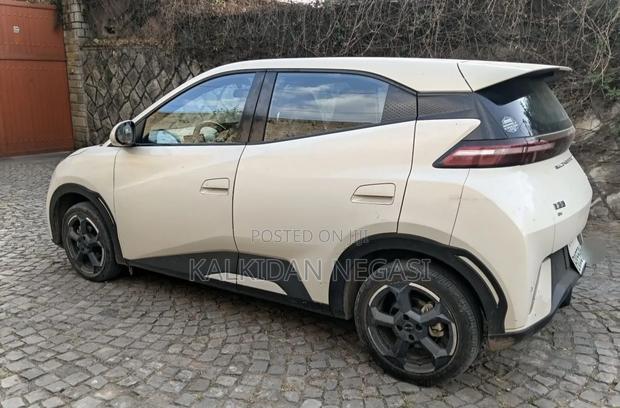 BYD Seagull 2024 White