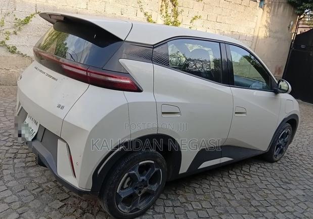 BYD Seagull 2024 White