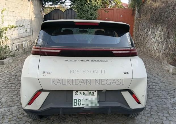 BYD Seagull 2024 White