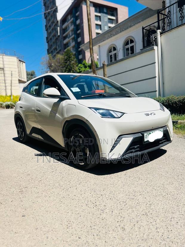 BYD Seagull 2024 White