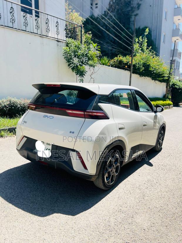 BYD Seagull 2024 White
