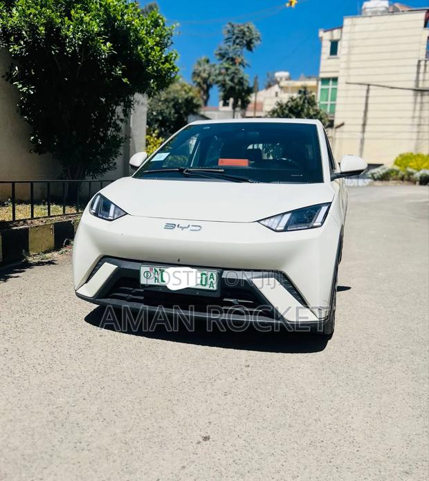 BYD Seagull 2024 White