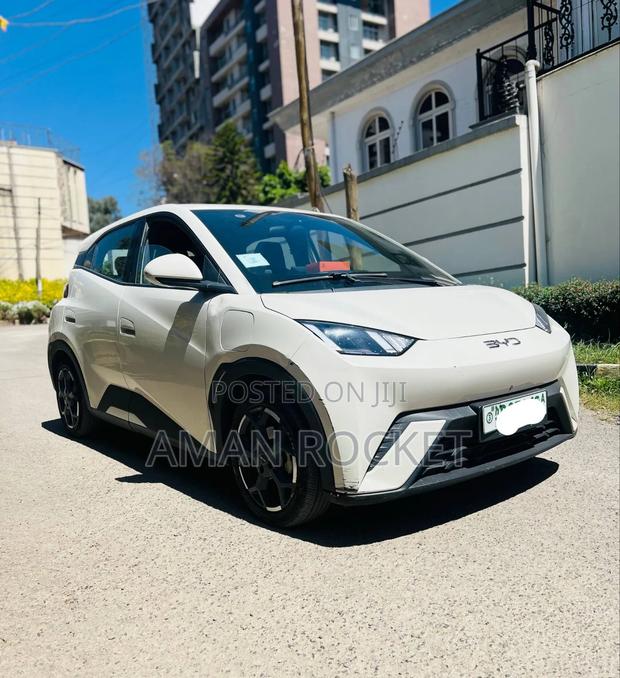 BYD Seagull 2024 White