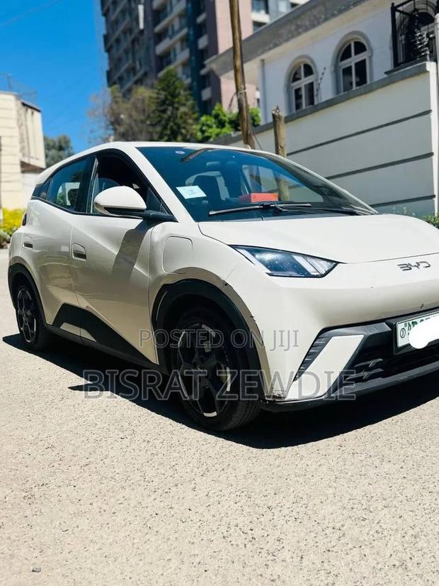 BYD Seagull 2024 White