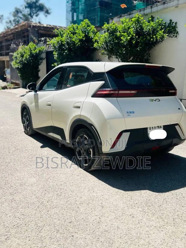 BYD Seagull 2024 White