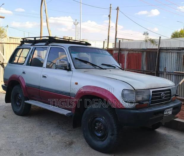 Toyota Land Cruiser 1995 Gray