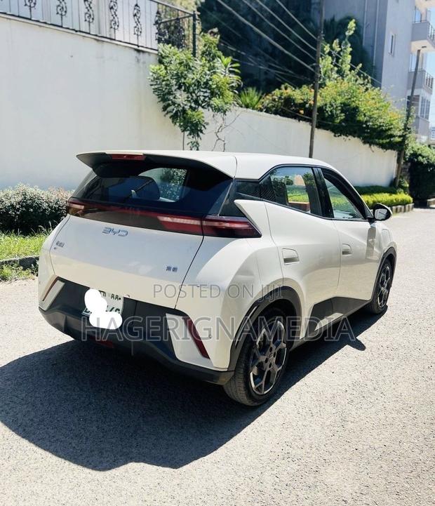BYD Seagull 2024 White