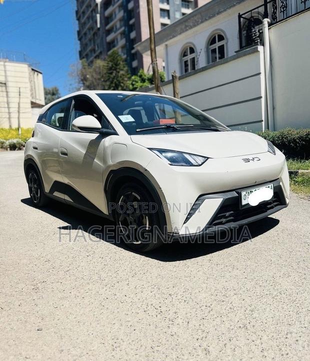 BYD Seagull 2024 White