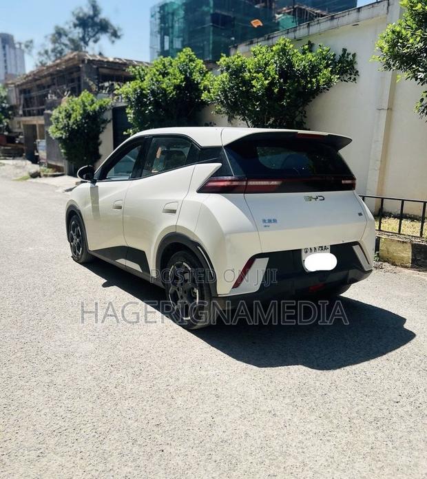 BYD Seagull 2024 White